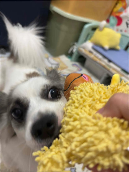 The "Skinny Mop Dog": Hilarious Squeaky Plush Toy (Teeth Cleaning)